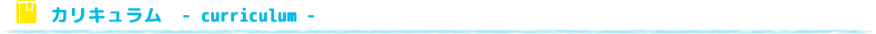 カリキュラム